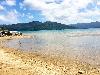 Agricultural-Beach Lot in San Vicente, Palawan for Sale